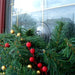 Wreath Holder Giant Suction Cup Adams