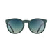 Goodr Carl's Inner Circle Sunglasses : I Have These On Vinyl, Too goodr