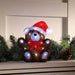 Grade A Warehouse Second - Noma Acrylic Light Up Teddy Bear : 30 LEDs : Battery with Timer : 25.5cm Noma